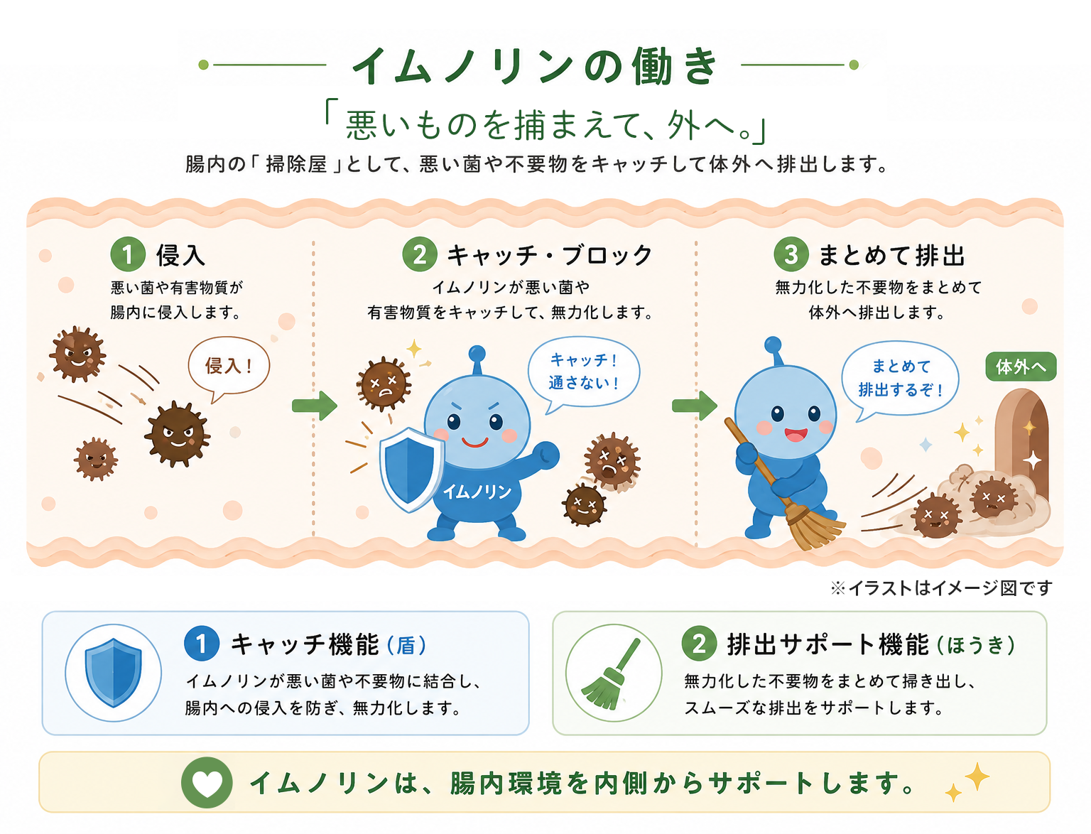 イムノリンの働きイメージ図