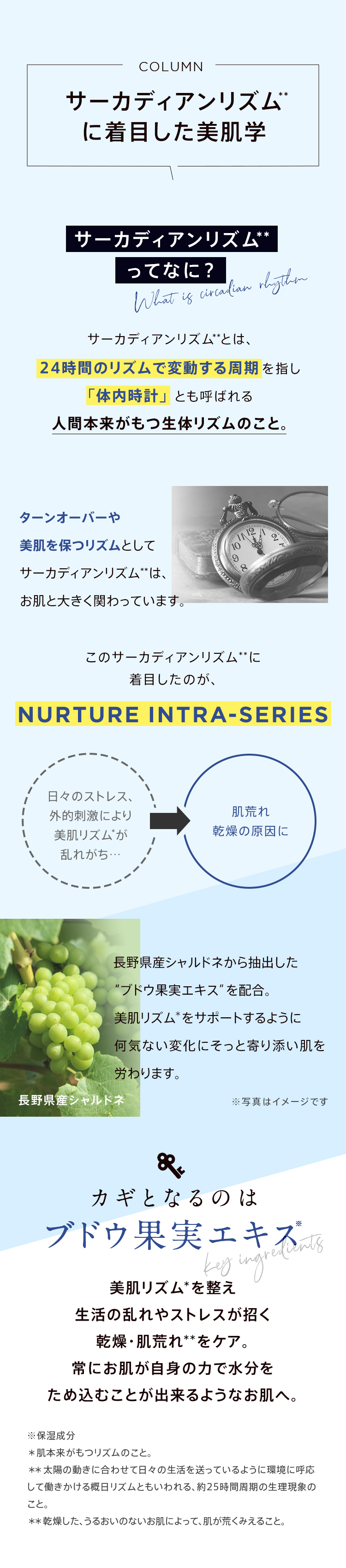 サーカディアンリズムとは「体内時計」とも呼ばれる人本来が持つ生体リズムのこと！