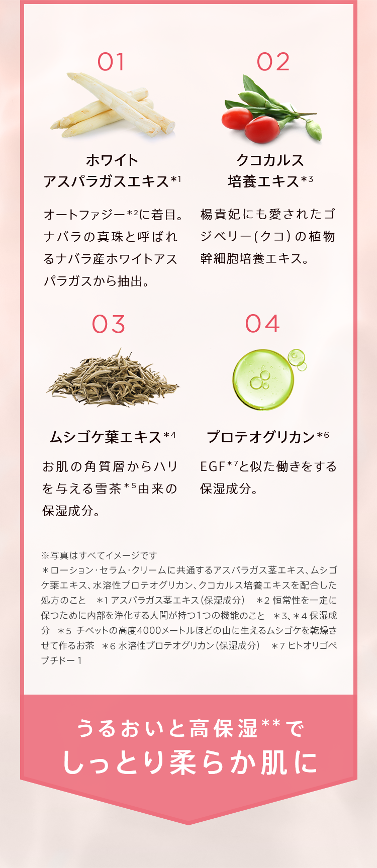 うるおいと高保湿でしっとり柔らか肌へ！