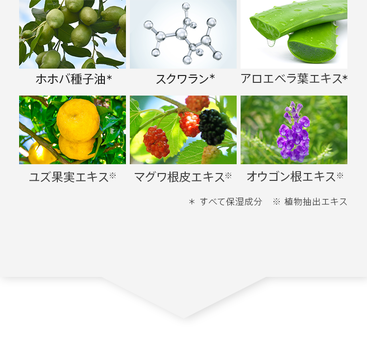 その他植物抽出エキスや保湿成分を配合！